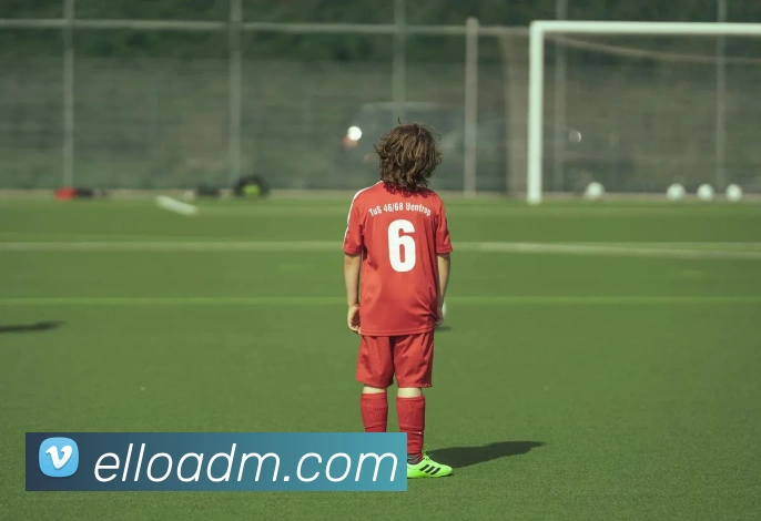 多终端兼容